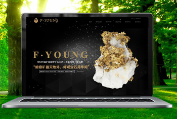 ���긩�����ﱦʯ